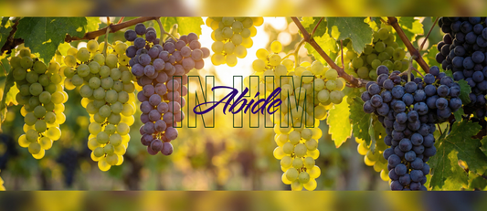 God is Love (4 of 6): The Holy Spirit - Our Power Source for Impossible Love - Sacred Stylz